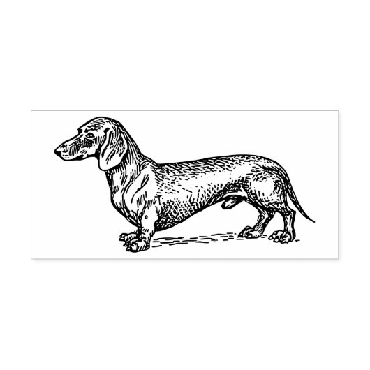 Dachshund-Hondenras Rubberstempel (Afrduk)