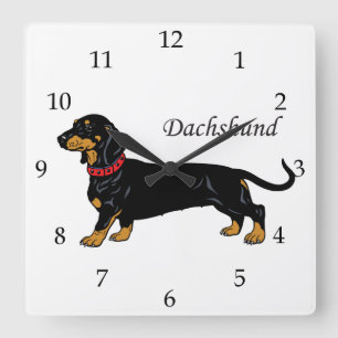 Dachshund-Hondenras Vierkante Klok