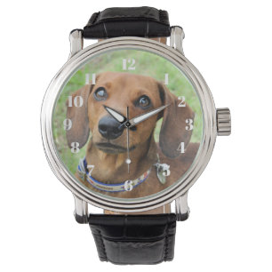 Dachshund Horloge