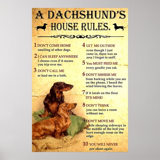 Dachshund House Rules Poster Gift for Men Women, O (Voorkant)