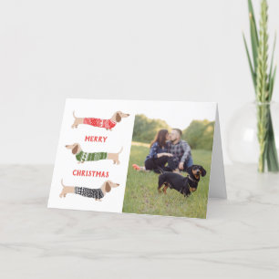 Dachshund Huisdier Hond Grappige Foto Kerstkaart  Feestdagen Kaart