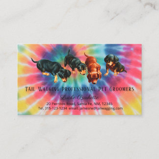 Dachshund Huisdier Verzorging Tie Dyed Regenboog P Visitekaartje