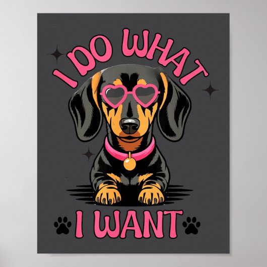 Dachshund I Do What I Want Funny Dog  Poster (Voorkant)