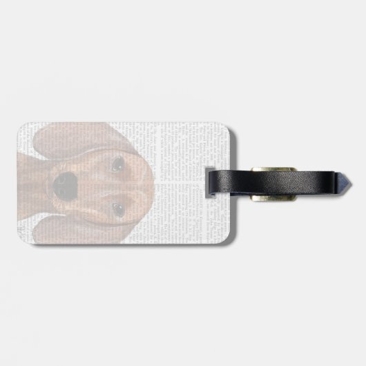 Dachshund Illustration Plain Bagagelabel (Achterkant horizontaal)