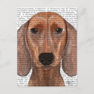 Dachshund Illustration Plain Briefkaart