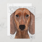 Dachshund Illustration Plain Briefkaart (Voorkant / Achterkant)