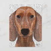 Dachshund Illustration Plain Briefkaart (Voorkant)