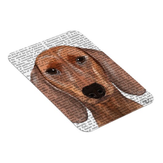 Dachshund Illustration Plain Magneet (Rechterzijde)