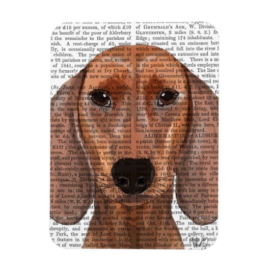 Dachshund Illustration Plain Magneet (Verticaal)
