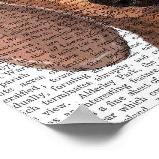 Dachshund Illustration Plain Poster (Hoek)