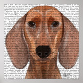 Dachshund Illustration Plain Poster (Voorkant)