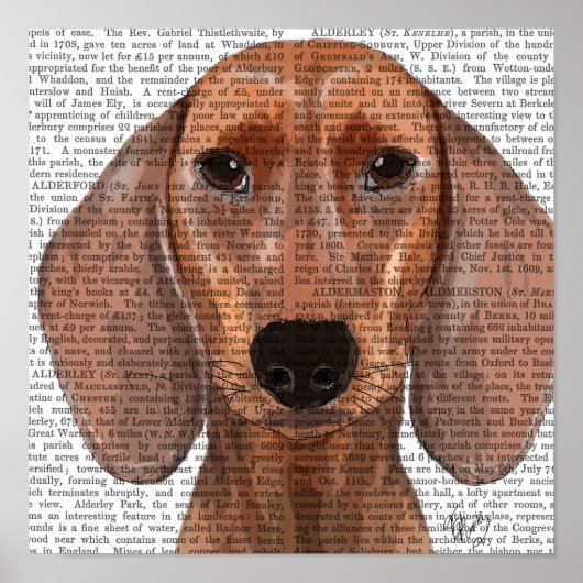 Dachshund Illustration Plain Poster (Voorkant)