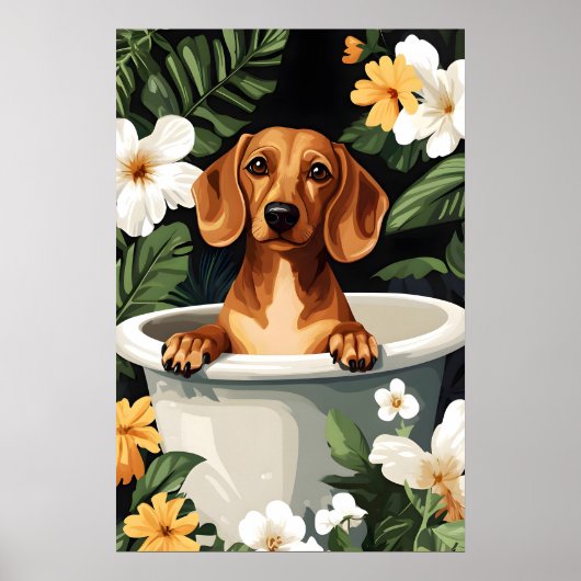 Dachshund in badposter, grappige hond poster (Voorkant)