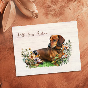 Dachshund in bloemenveld Hallo vanuit ansichtkaart Briefkaart