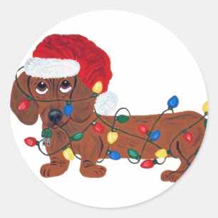 Dachshund in de knoop met kerstlichtjes (Rood) Ronde Sticker