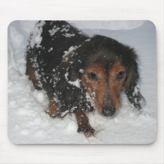 Dachshund in de Snow Mousepad Muismat (Voorkant)