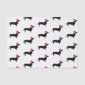 Dachshund in een kerstkerstman met kerstmis tissuepapier (Voorkant)