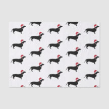 Dachshund in een kerstkerstman met kerstmis