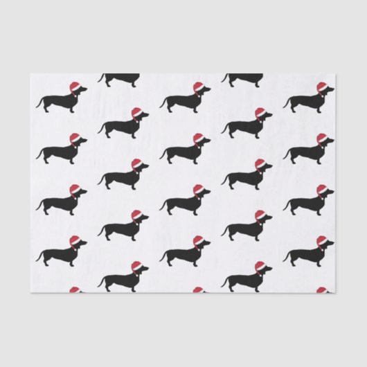 Dachshund in een kerstkerstman met kerstmis tissuepapier (Voorkant)