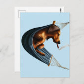 Dachshund in Hangmat Briefkaart (Voorkant / Achterkant)