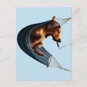 Dachshund in Hangmat Briefkaart (Voorkant)