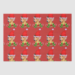 Dachshund in Kerstmis in Santa Hat Tissuepapier