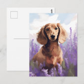 Dachshund in Lavendelveld Briefkaart (Voorkant / Achterkant)