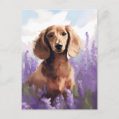 Dachshund in Lavendelveld Briefkaart (Voorkant)