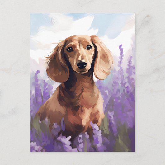 Dachshund in Lavendelveld Briefkaart (Voorkant)