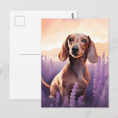 Dachshund in Lavendelveld Briefkaart (Voorkant / Achterkant)