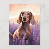 Dachshund in Lavendelveld Briefkaart (Voorkant)