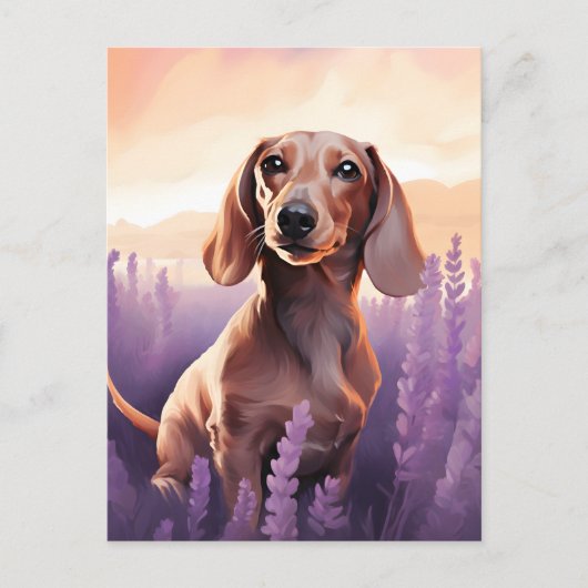 Dachshund in Lavendelveld Briefkaart (Voorkant)