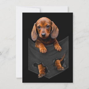 Dachshund In Mijn Zak Dachshund Weiner Dog Cadeau Kaart