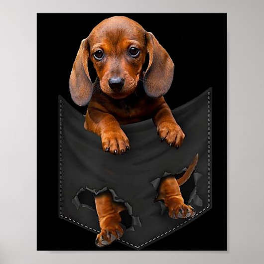 Dachshund in Mijn zak Dachshund Weiner Dog Gift Poster (Voorkant)