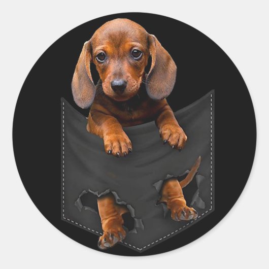 Dachshund in Mijn zak Dachshund Weiner Dog Gift Ronde Sticker (Voorkant)