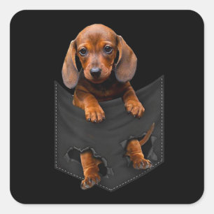 Dachshund in Mijn zak Dachshund Weiner Dog Gift Vierkante Sticker