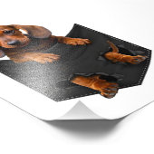 Dachshund in Mijn zak Weiner Dog Foto Afdruk (Hoek)