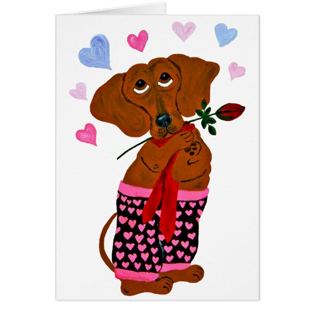 Dachshund in roze hartshorts (Voorkant)