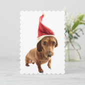 Dachshund in Santa hat Feestdagenkaart (Staand voorkant)