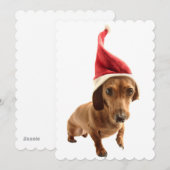 Dachshund in Santa hat Feestdagenkaart (Voorkant / Achterkant)