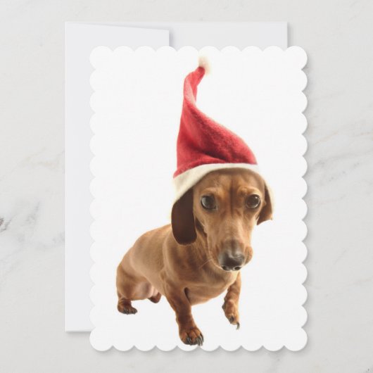 Dachshund in Santa hat Feestdagenkaart (Voorkant)
