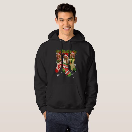 Dachshund in Sock-kerstkerstkerstkerstkerstkerstke Hoodie (Voorkant volledig)