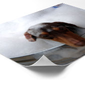 Dachshund in Tub Poster (Hoek)