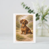 Dachshund in vintage stijl briefkaart (Staand voorkant)