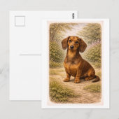 Dachshund in vintage stijl briefkaart (Voorkant / Achterkant)