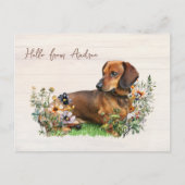 Dachshund in Wildflowers Hello From Postcard Briefkaart (Voorkant)