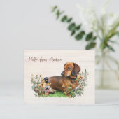 Dachshund in Wildflowers Hello From Postcard Briefkaart (Staand voorkant)