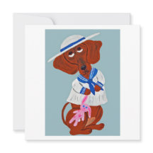 Dachshund in Zeemanspak