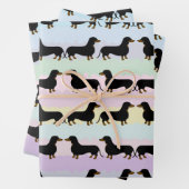 Dachshund inpakpapier vellen (In situ)