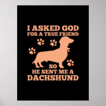 Dachshund is mijn echte vriend